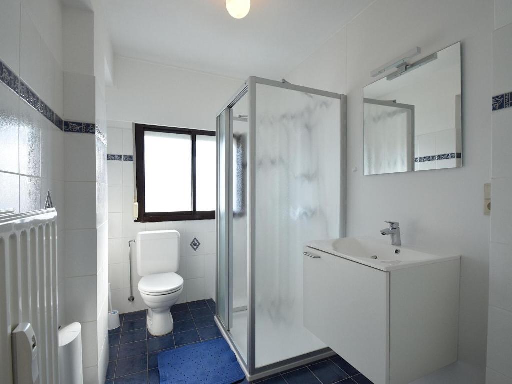 a bathroom with a shower and a toilet and a sink at Golf 0401 seafront apartment with balcony in De Haan