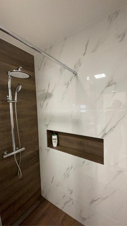 Koupelna v ubytování Apartma Lima