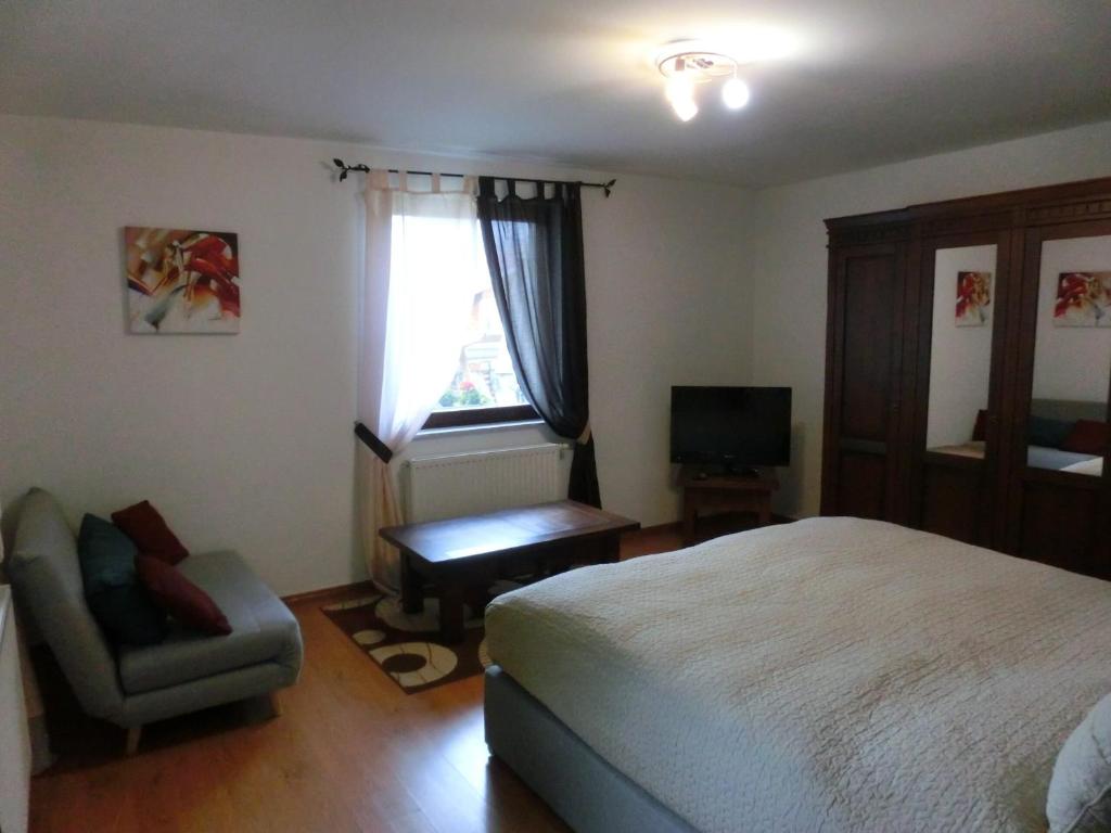 1 dormitorio con 1 cama, 1 silla y 1 ventana en Ferienwohnung in Lobau, en Viena