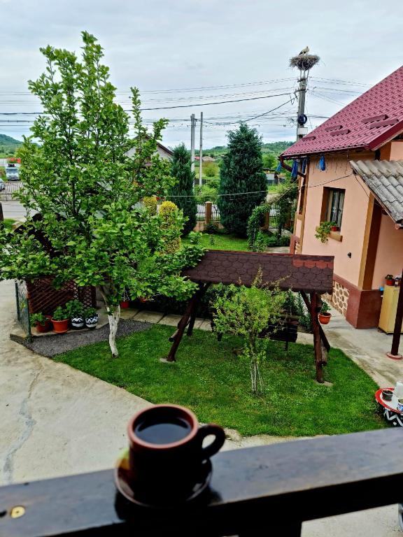 Zahrada ubytování Casa Faurului