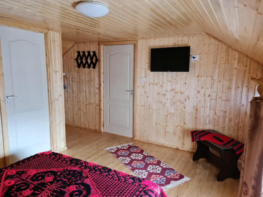 TV a/nebo společenská místnost v ubytování Casa Faurului
