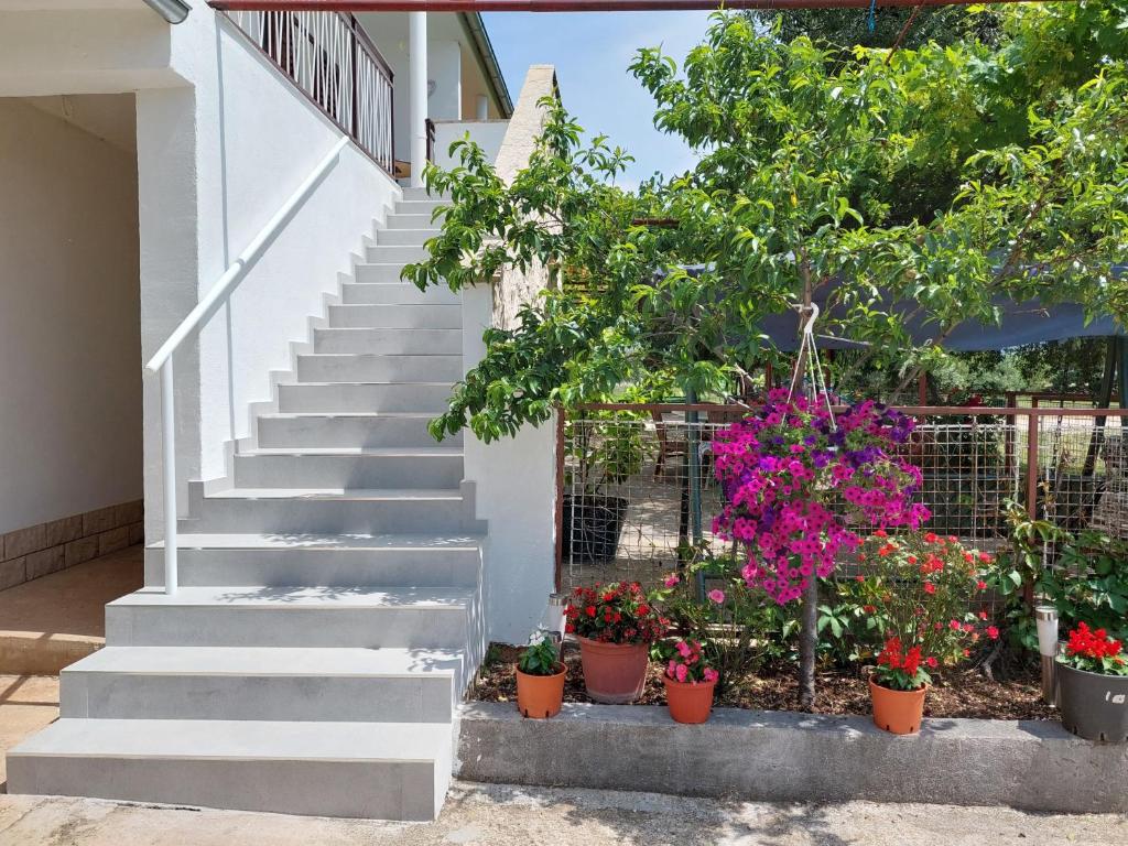 Rooms Ive, Lozovac (updated prices 2025) - 13