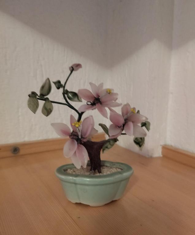 Fotografija u galeriji objekta Apartment Klara u Baru