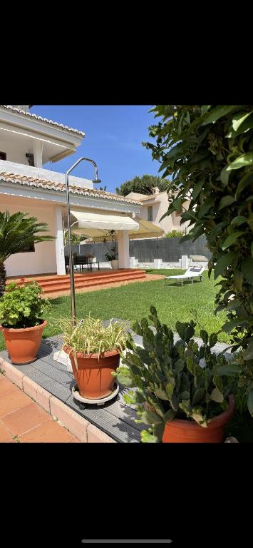 three potted plants sitting on a table in a yard at Chalet PuigVal 50m de la playa in Valencia