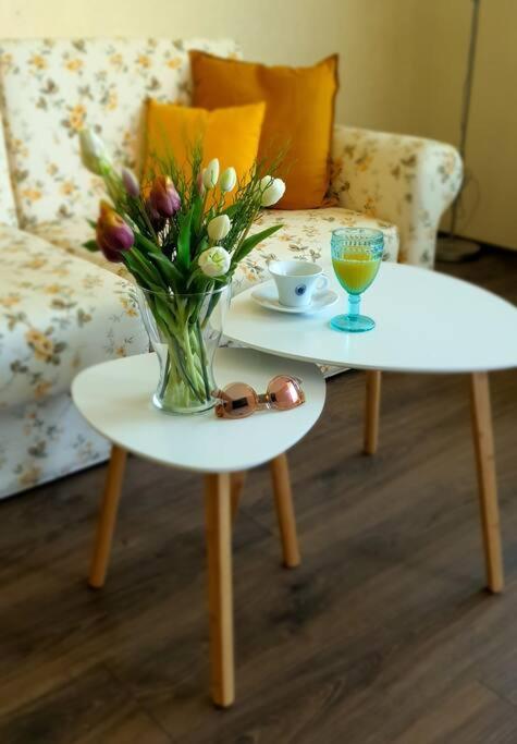 Posezení v ubytování Ika apartment