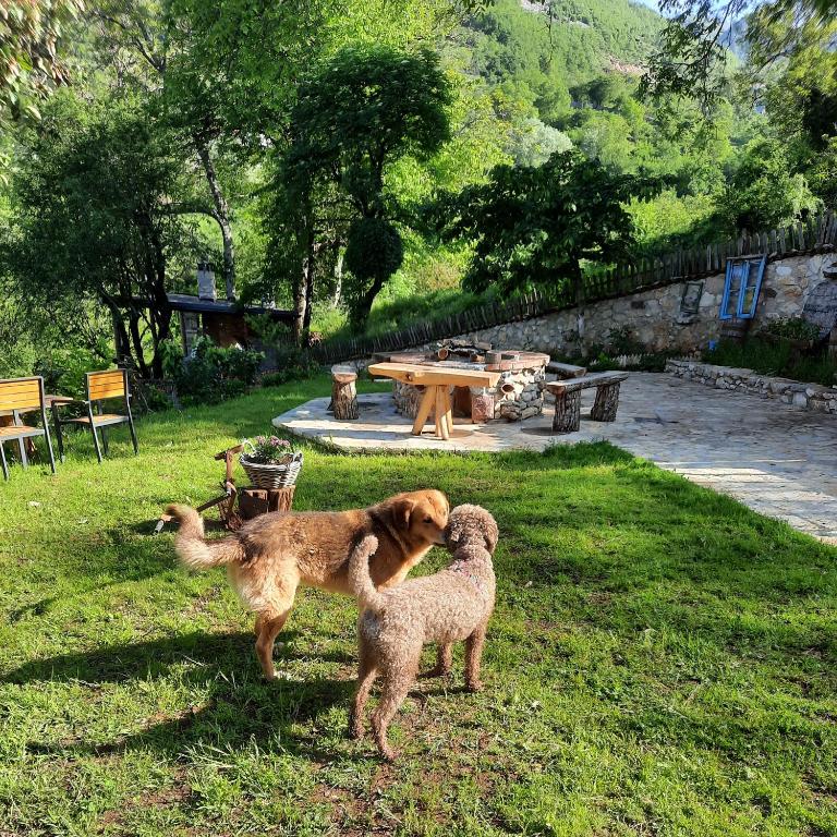 Kulla Hupi Agriturism - Image 10