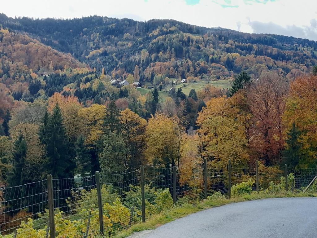 Príroda v okolí apartmánu