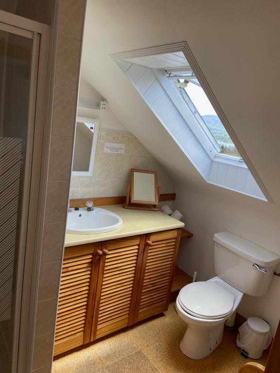 bagno con servizi igienici e lavandino con lucernario di Grenane Heights a Kenmare