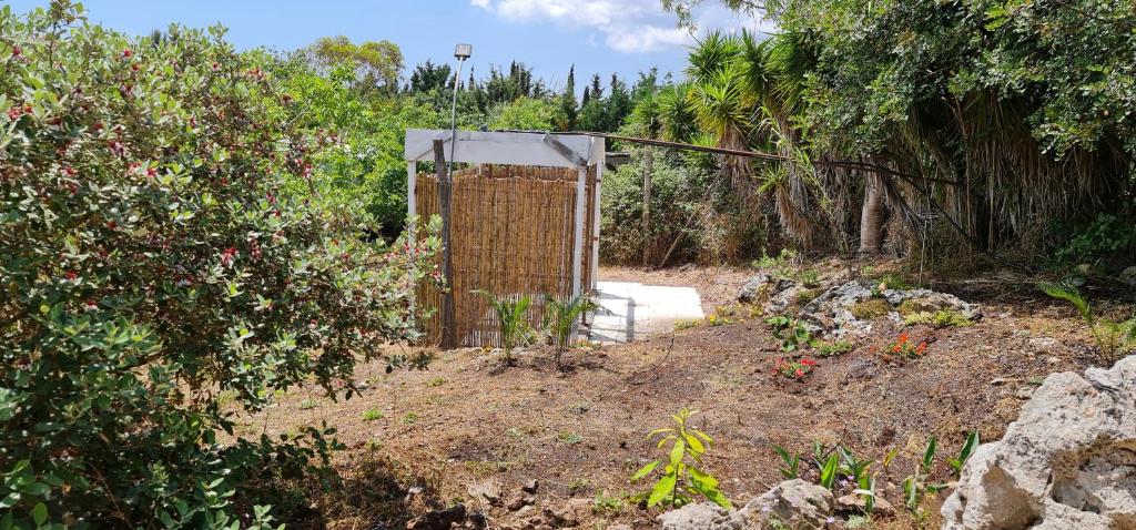 A garden outside Campeggio Bungalow Darwin