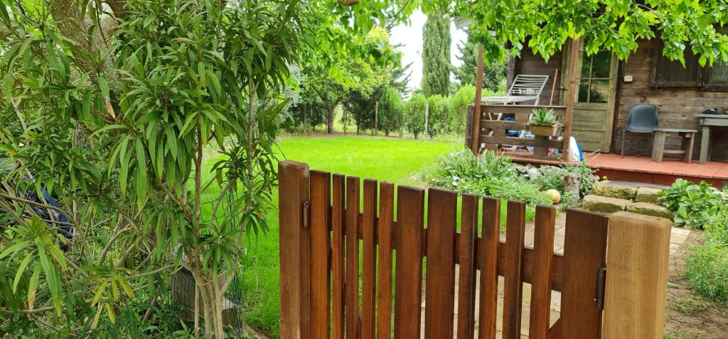 A garden outside Campeggio Bungalow Darwin