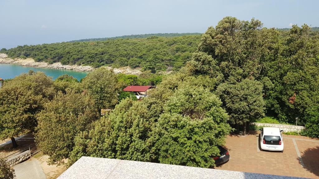 Příroda nedaleko apartmánu