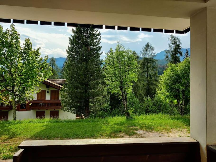 ventana con vistas a un patio con árboles en Falcade Dolomiti La Quiete piano terra, en Fregona