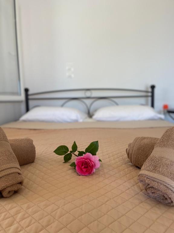 Postel nebo postele na pokoji v ubytování Alepochori Apartments