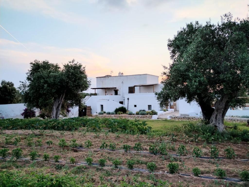 a house with a garden in front of it at Masseria Piccole Taverne in Ostuni