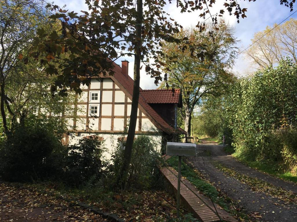 a house in the middle of a road with trees at In der Wassermühle in Melle