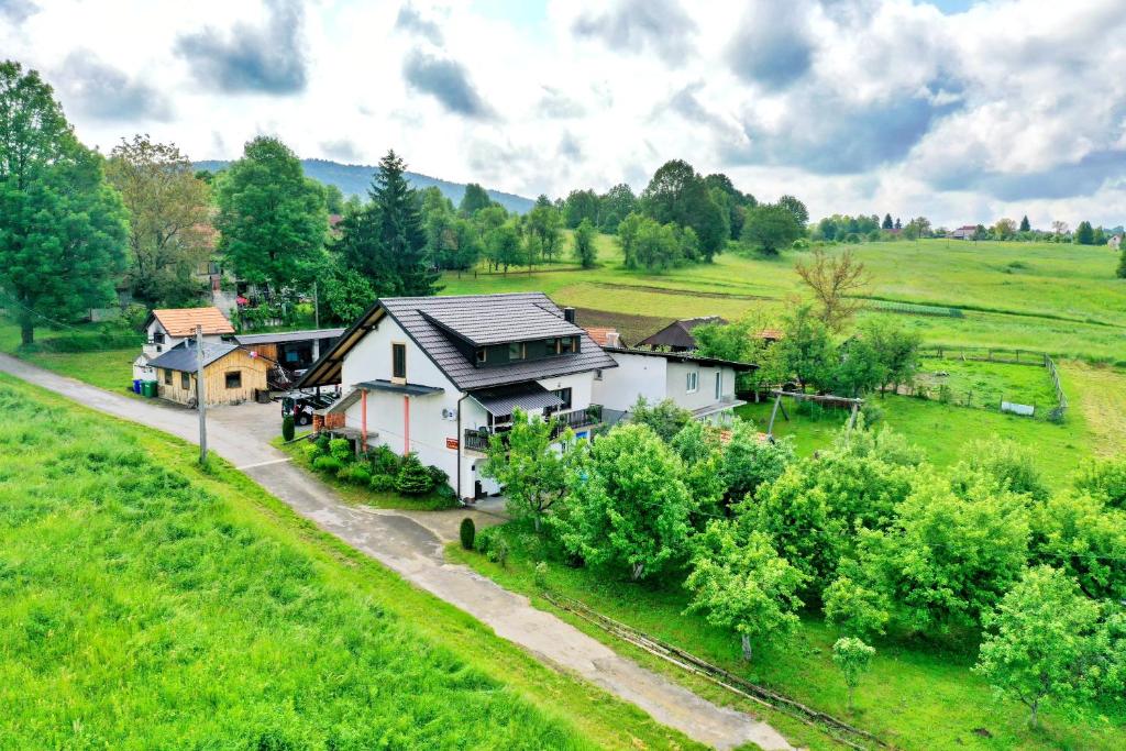 an aerial view of a house in a field at Apartman Leona in Rakovica