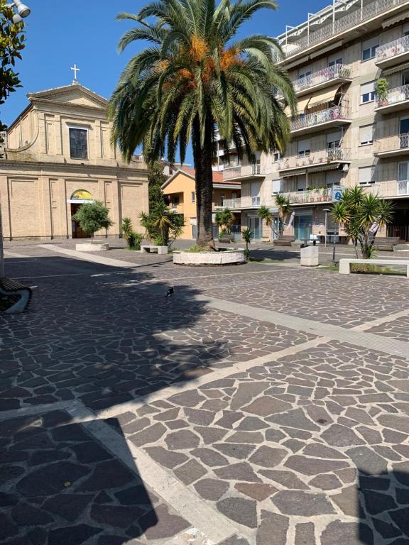 un patio con una palmera y un edificio en Notti Serene, en Montesilvano