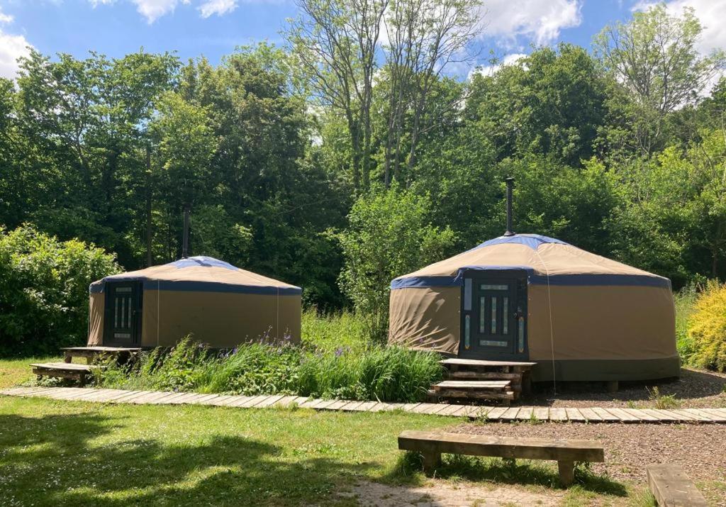 2 tentes de yourte assises dans un champ avec banc dans l'établissement Barefoot Yurts, à Brede