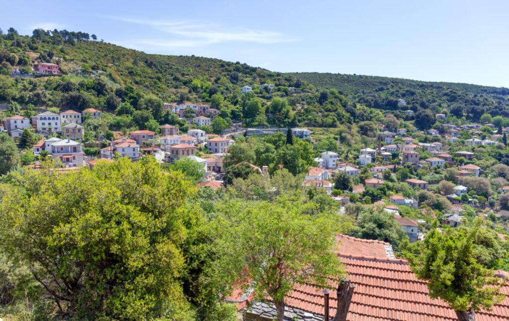 Príroda v okolí dovolenkového domu