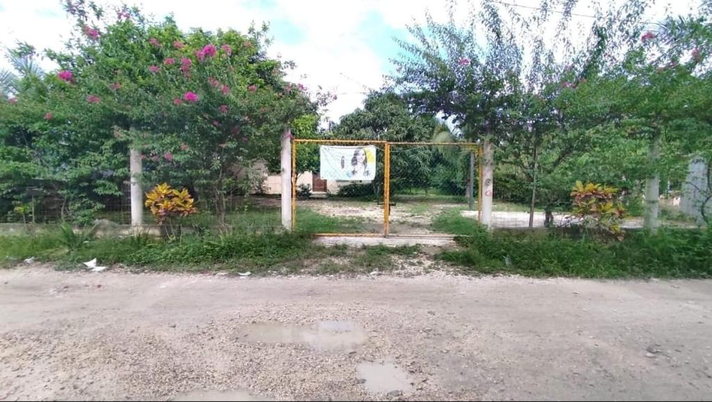 una jaula de bateo en un campo con árboles y flores en Casa Giron en Cancún