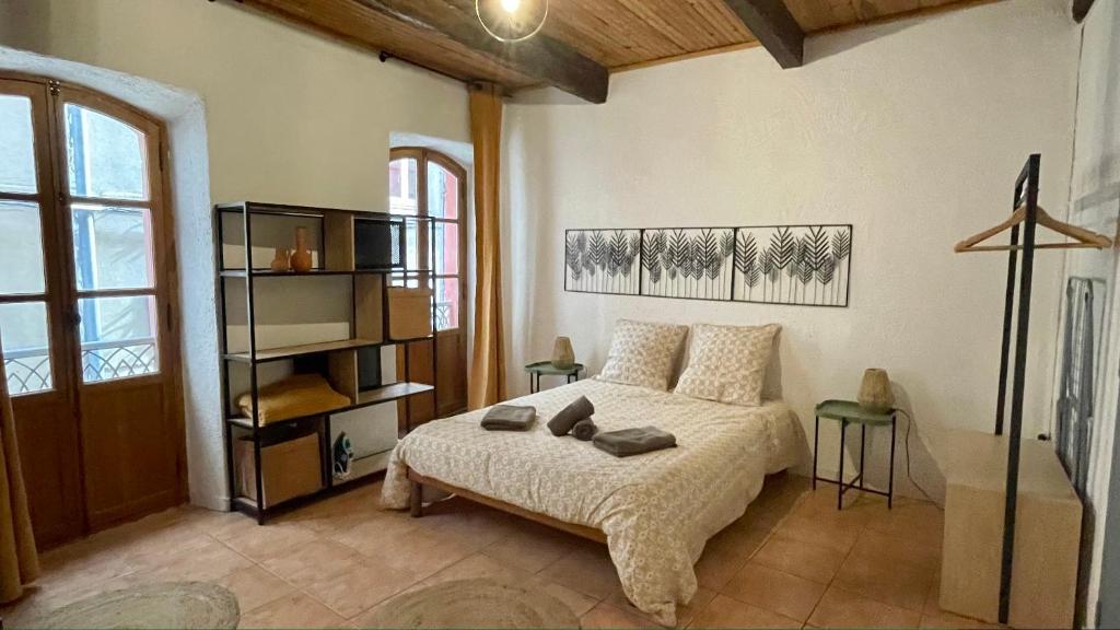 um quarto com uma cama e uma estante de livros em Cocon au cœur du centre-ville d'Arles em Arles