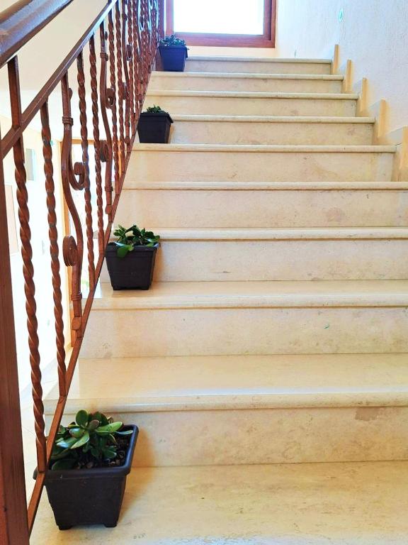 Plakoudis Rooms - 14