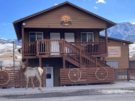 una cabra parada frente a una casa en ParkWay Yellowstone Guest House Room #1, en Gardiner