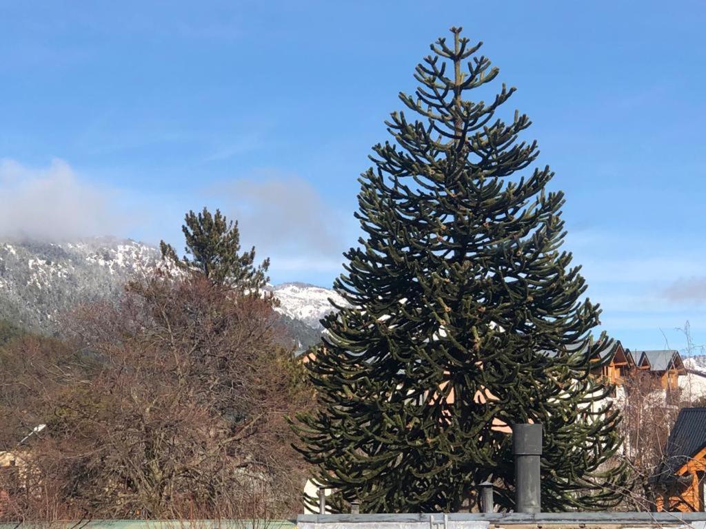 Φυσικό τοπίο κοντά σε αυτό το διαμέρισμα