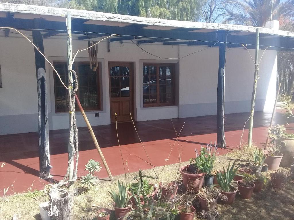Ingeniero Giagnoni