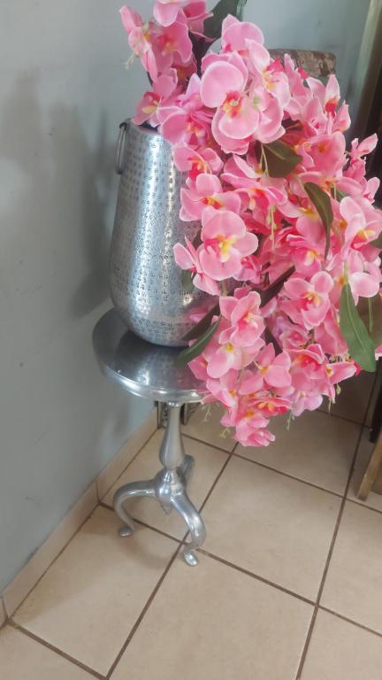 un seau métallique rempli de fleurs roses sur un tabouret dans l'établissement Bela casa, à Hartbeespoort