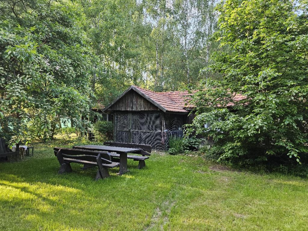 uma mesa de piquenique e um banco em frente a uma cabana em Dom Pod Brzozami Lipinki Bory Tucholskie - psy, koty mile widziane! em Lipinki