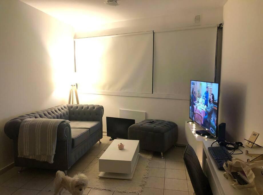 ein Wohnzimmer mit einem Sofa und einem TV in der Unterkunft Alquilo depto, zona muñiz in General Sarmiento