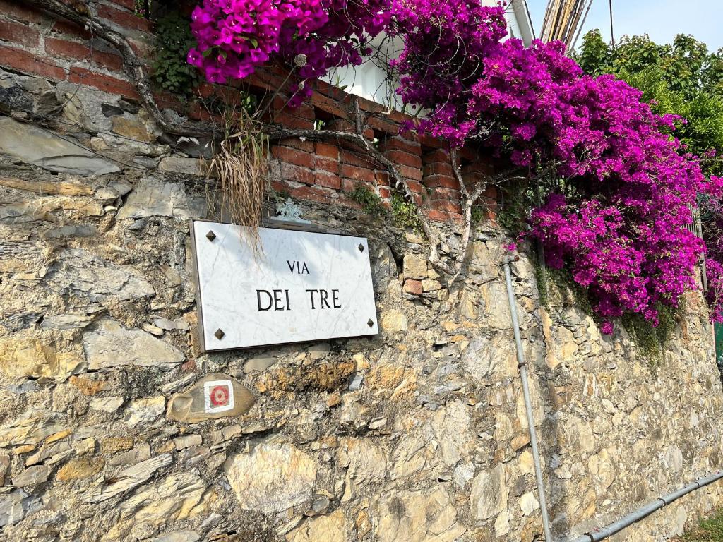 Фотография из галереи SALOTTO SUL MARE в Генуе