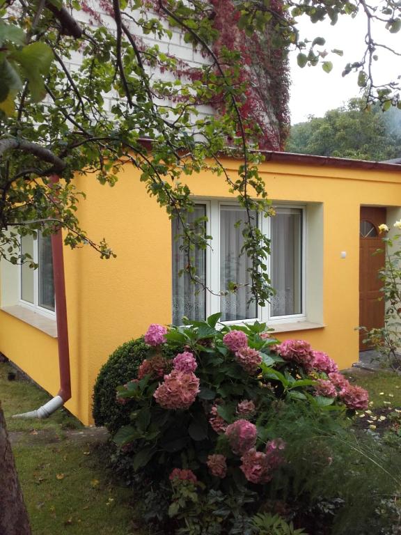 KASZUBIANKA 1 في غدينيا: منزل اصفر وامامه زهور