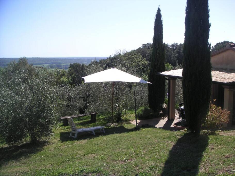 een witte paraplu en een bank in een tuin bij Casa Belvedere -tranquillità tra bosco e ulivi- in Riparbella