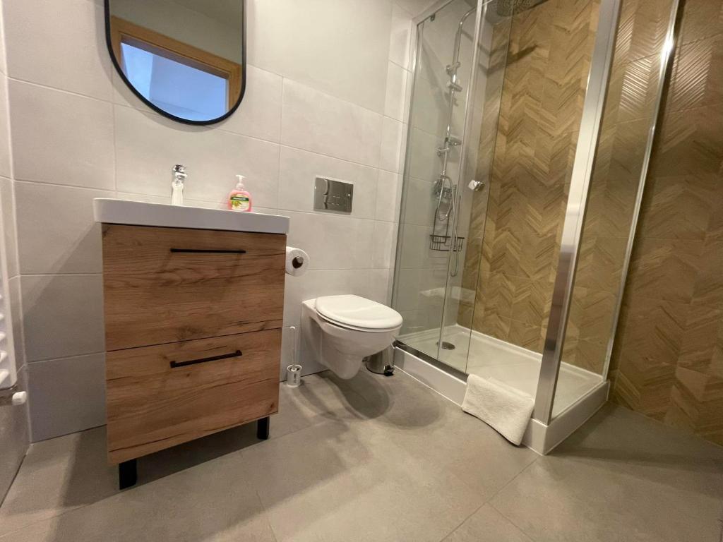 een badkamer met een wastafel, een toilet en een douche bij Willa MEWA in Jastarnia