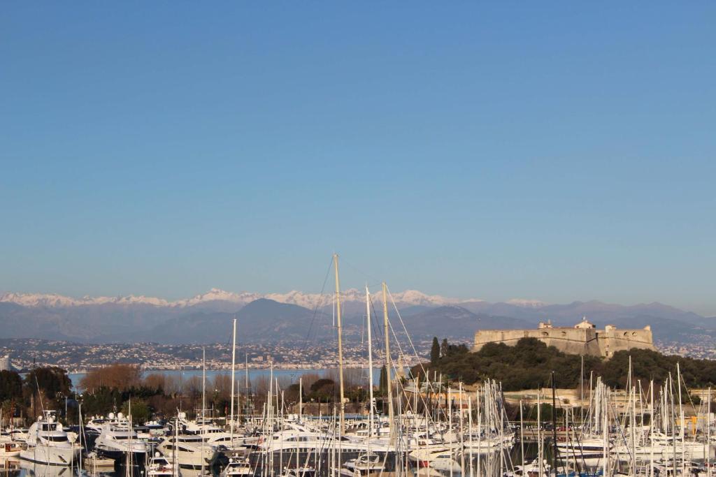 Une bande de bateaux dans un port avec un château en arrière-plan dans l'établissement Penthouse with extraordinary view, à Antibes