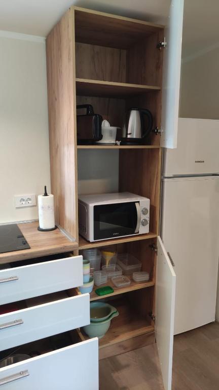 Kuchyň nebo kuchyňský kout v ubytování Mobile home Sofija