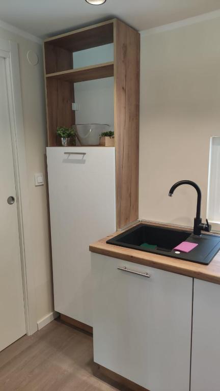 Kuchyň nebo kuchyňský kout v ubytování Mobile home Sofija