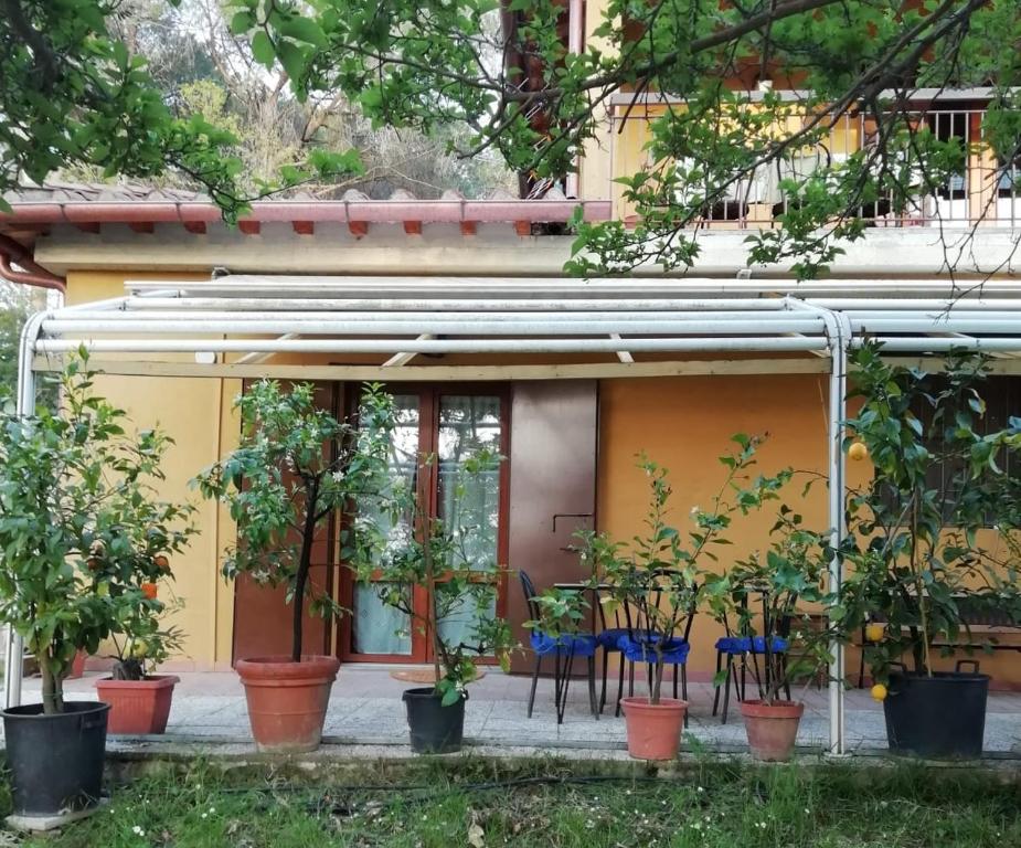 een geel huis met potplanten ervoor bij La Cantinetta di Barberino in Greve in Chianti