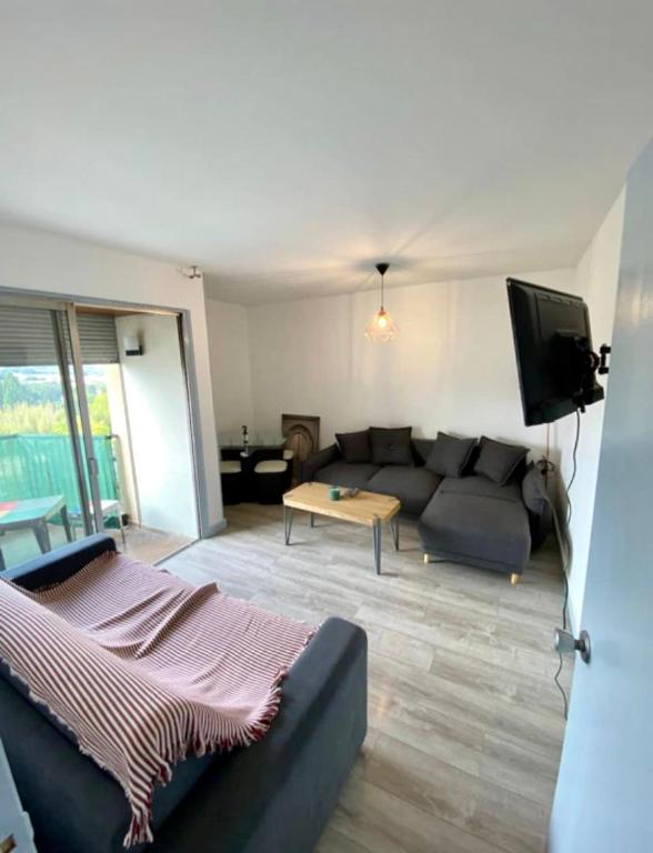 sala de estar con sofá y TV en T2 Parc Belvédère en Montpellier