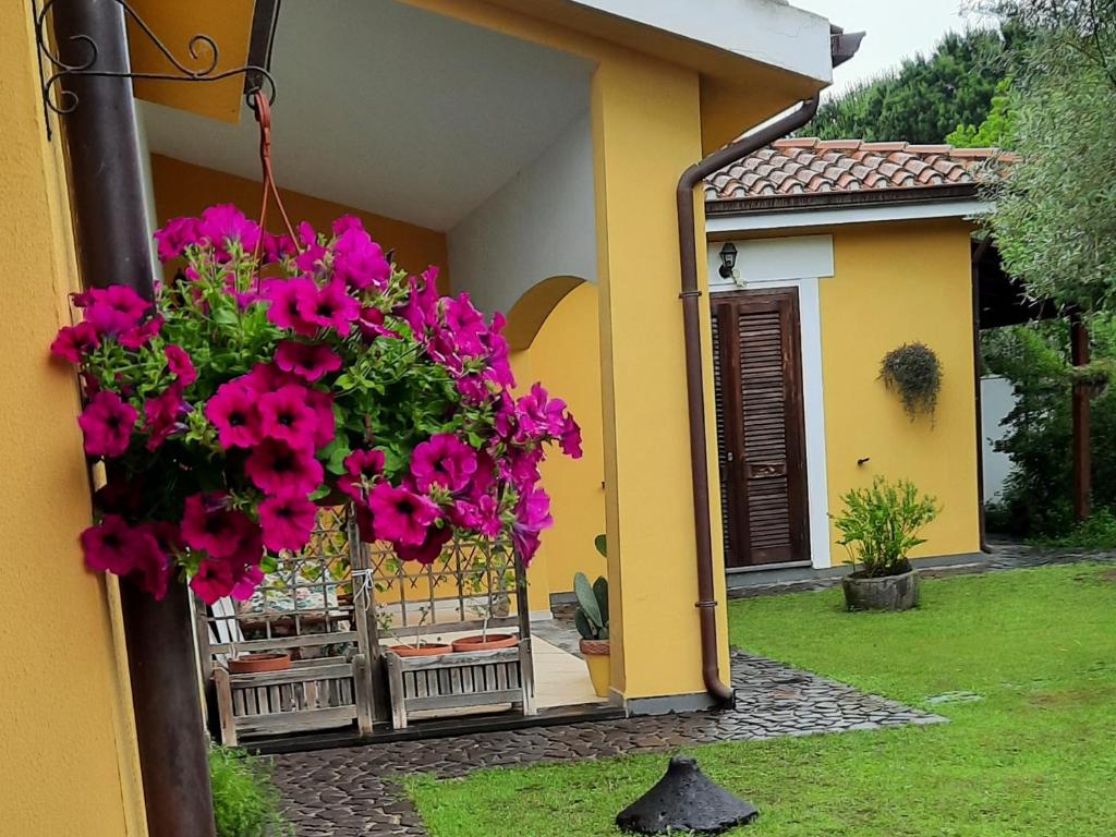 un giardino con fiori rosa appeso a una casa di acasamia a Oristano