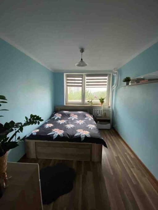Un dormitorio con una cama en una habitación con ventana. en Apartament przy Parku Śląskim, en Katowice