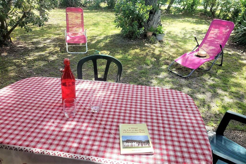 une table de pique-nique avec des chaises roses et un livre dessus dans l'établissement Au Chêne tranquille - côte landaise, à Parentis-en-Born