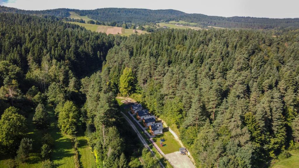 une vue aérienne sur un train traversant une forêt dans l'établissement Domki Zew Natury, à Lesko