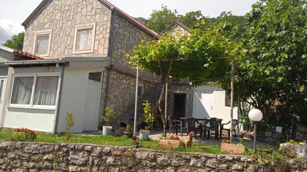 a house with a dog standing in the yard at Guest House Vodica in Virpazar