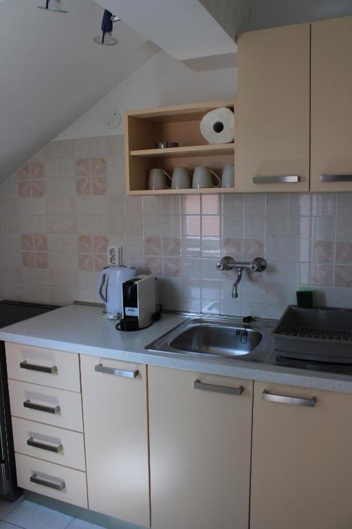 Kuchyň nebo kuchyňský kout v ubytování Apartments & Rooms Anita