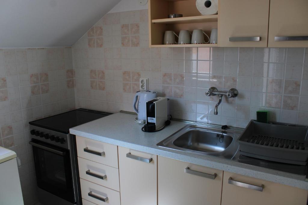 Kuchyň nebo kuchyňský kout v ubytování Apartments & Rooms Anita