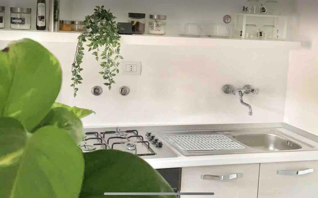 Cucina o angolo cottura di APPARTAMENTO SFERISTERIO