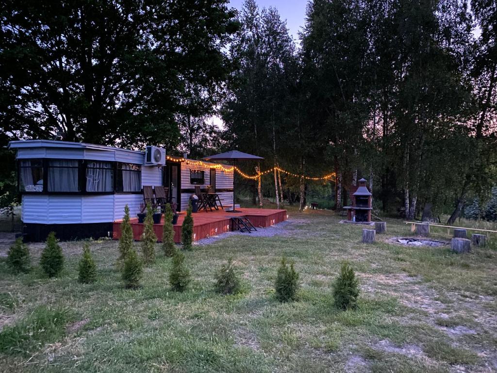 een klein huisje in een tuin met kerstverlichting bij Ostoja in Lucień